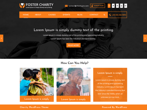 free charity wordpress theme